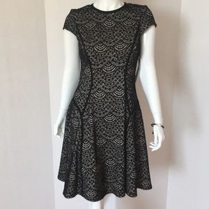 Fit and Flare Overlay Dress